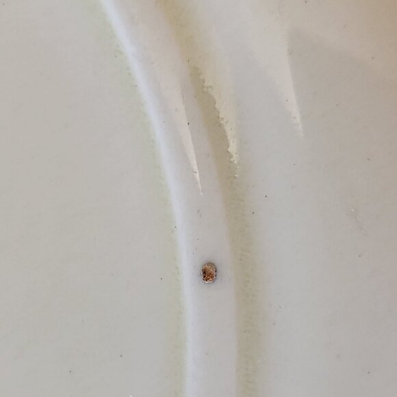 Royal Doulton Australian Gum Trees A Pattern D5506/4 Display Plate c1935 England - Picture 10 of 11